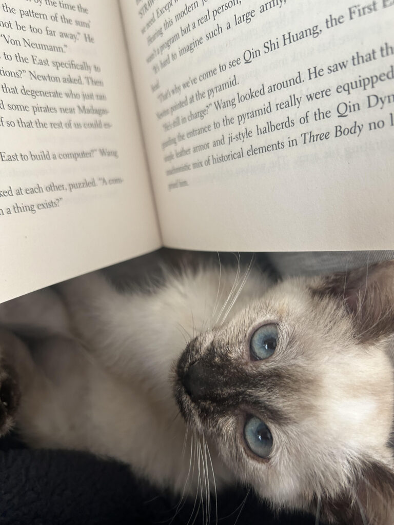 Katana, the kitten, underneath the pages of a book